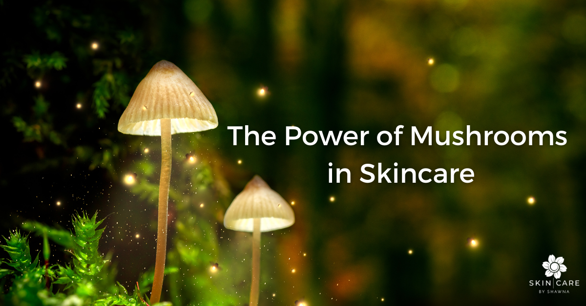 Mushrooms in skincare