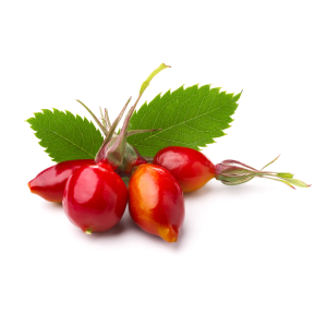 Rosehip Seed Oil